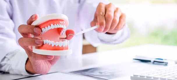 Dentist Holding Dental Model Pointing At Problem Tooth